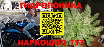 тгк Волгодонск
