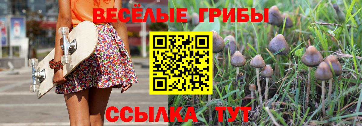Галлюциногенные грибы Magic Shrooms  Вход с VPN  Псилоцибиновые грибы GOLDEN TEACHER  Краснотурьинск 